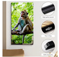Curious Macaque Canvas Wall Art | Jungle Animal Print