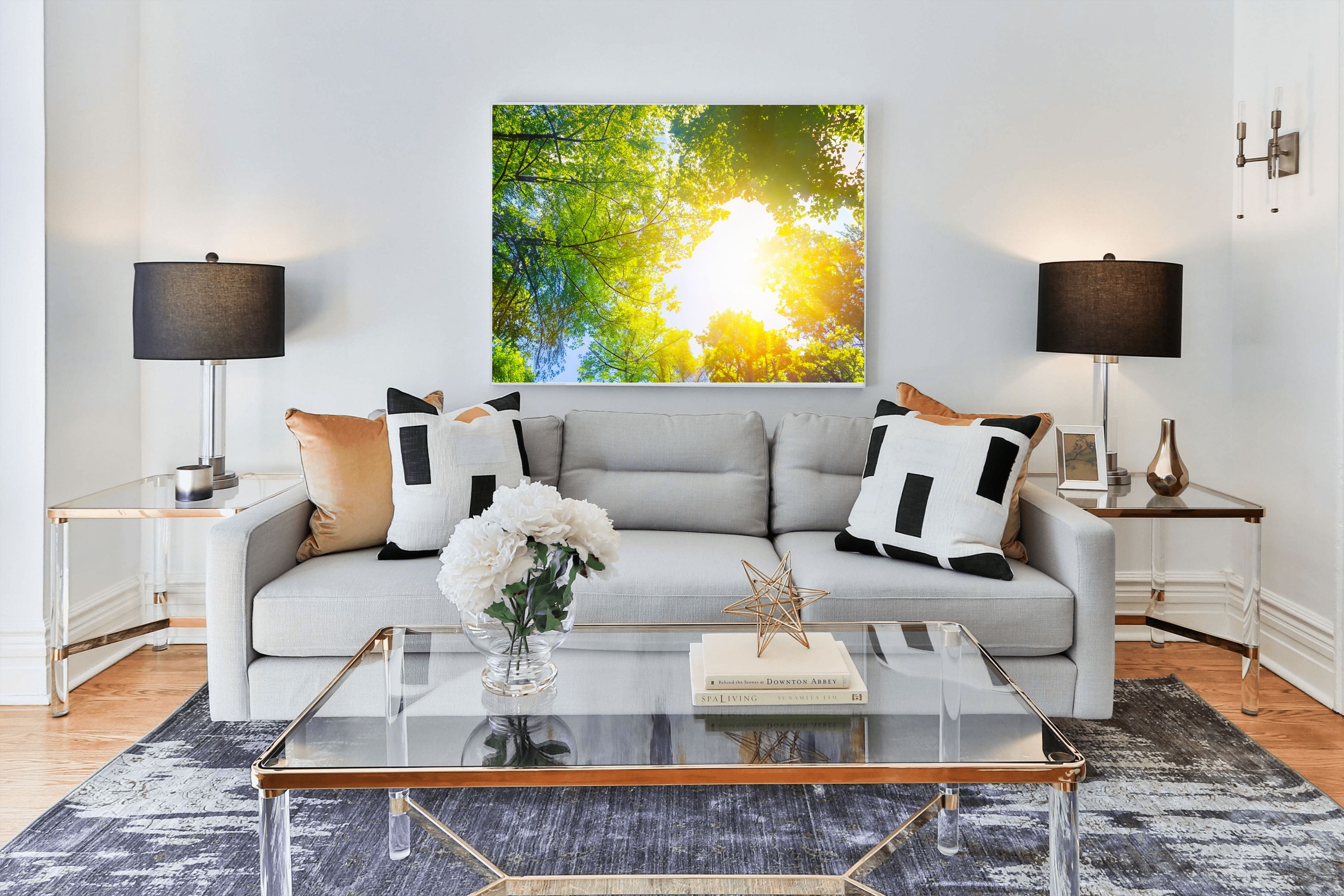 Sunlit Forest Canopy Canvas Wall Art | Nature Wall Decor