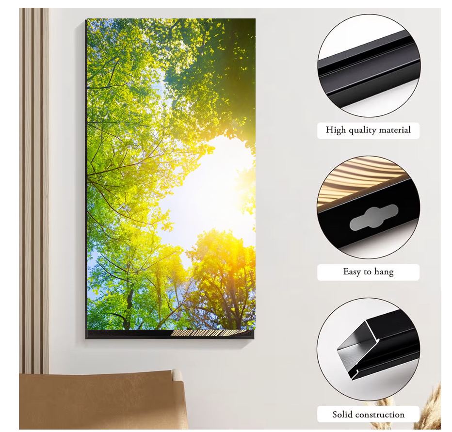 Sunlit Forest Canopy Canvas Wall Art | Nature Wall Decor